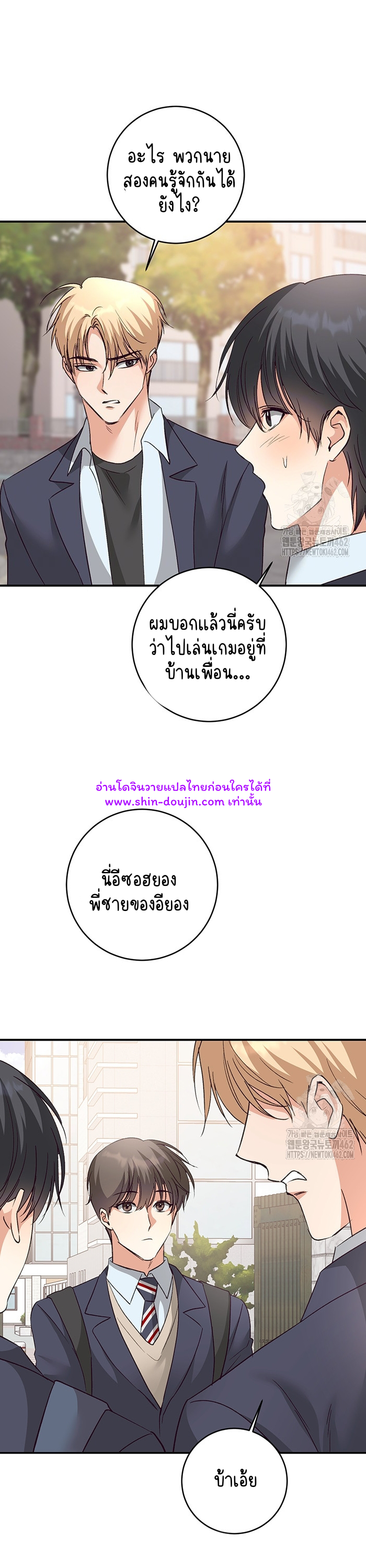 Dandelion Flower Observation Diary EP 6